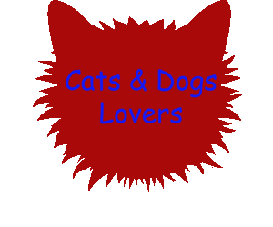 place where you could find the most cute, funny ,great ,lovely and best cats and dogs - https://cats0and0dogs0lovers.blogspot.com/
